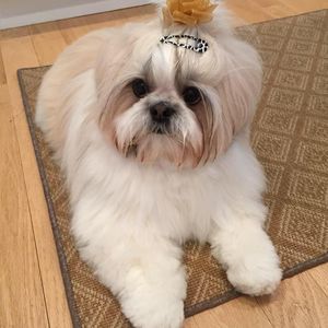 Meet your Posher, Scott